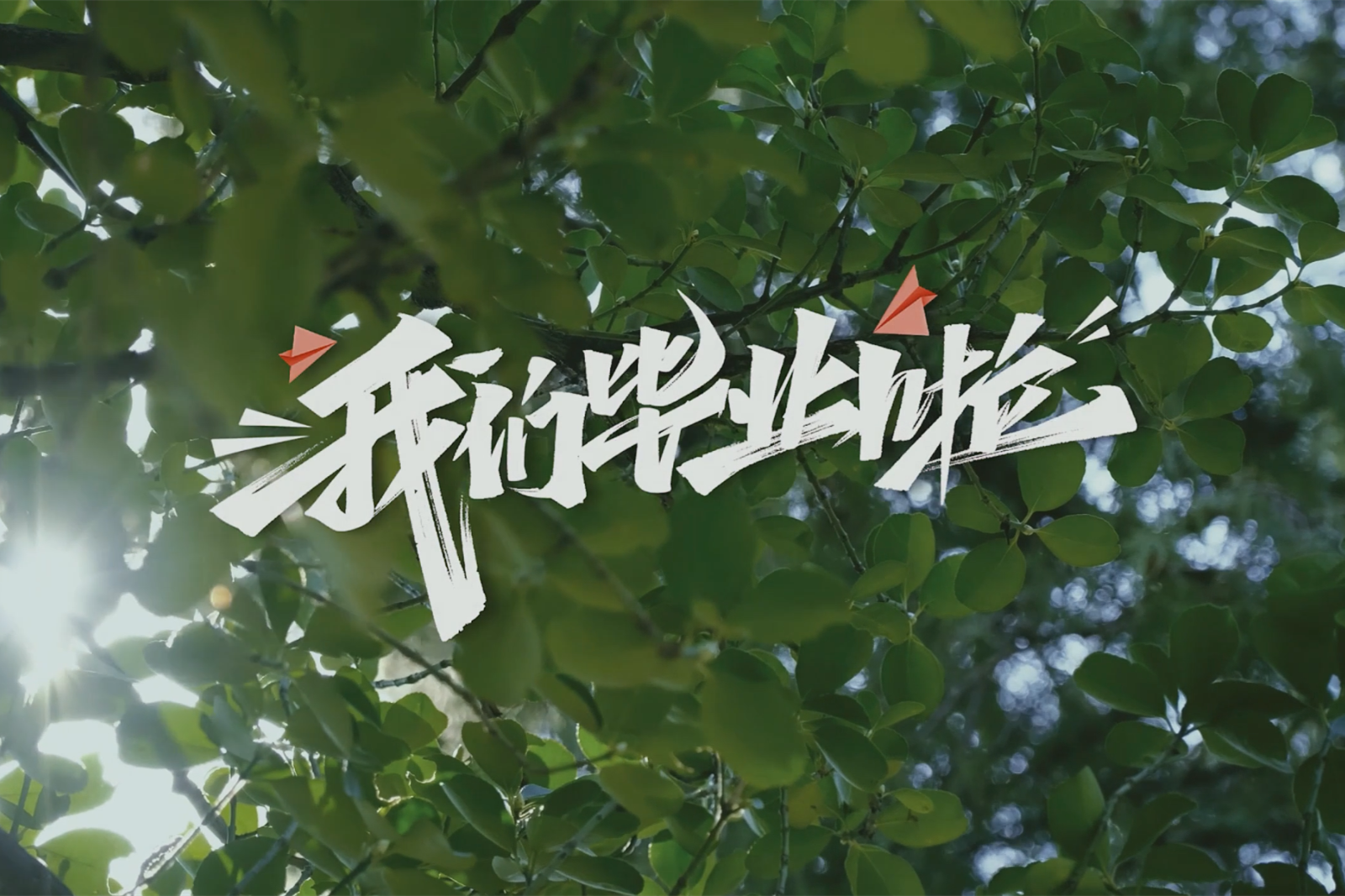 再见，母校！再见，我的澳门金年会app下载官网！